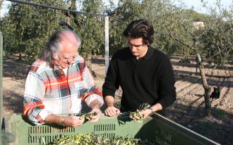 Pensato : L’huile d’olive comme un art...