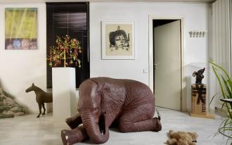 "Poïpoï" à la villa Sauber