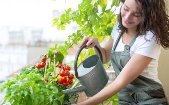 Un potager au balcon
