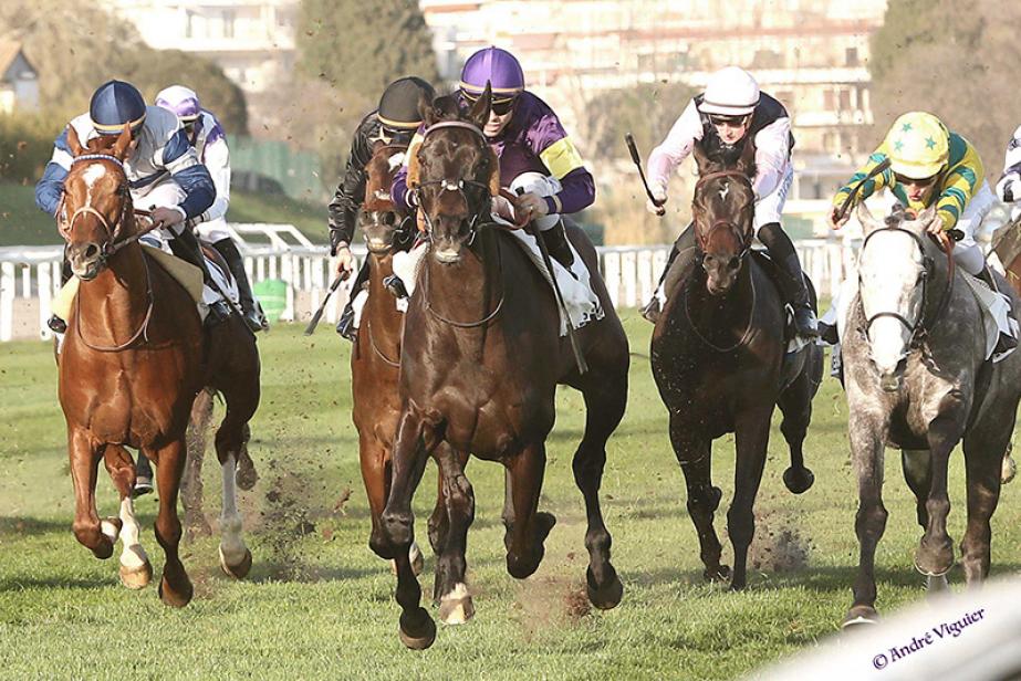 Cagnes : l’hiver à toutes allures...