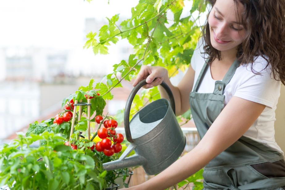 Un potager au balcon