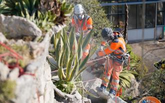 Un an de travaux au Jardin Exotique