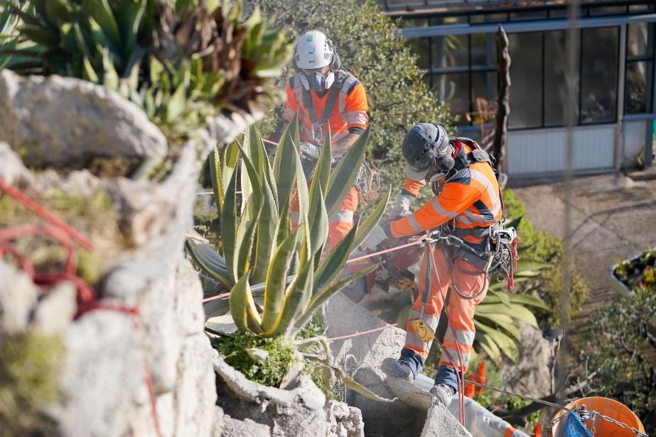 Un an de travaux au Jardin Exotique