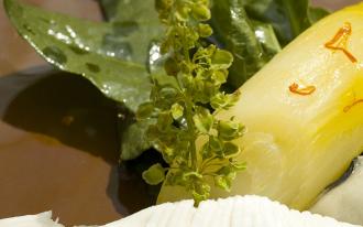 Aile de raie pochée au bouillon de légumes, salade de pousses d’épinards 