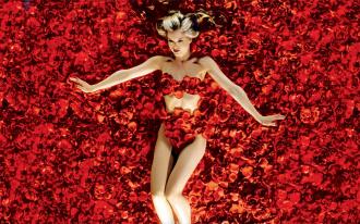 American Beauty