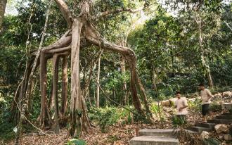 Cambodge, Véritable paradis préservé