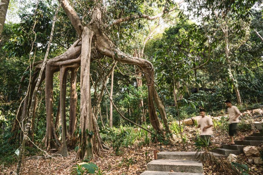 Cambodge, Véritable paradis préservé