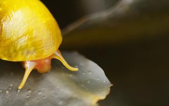 Le Tour de France de la biodiversité