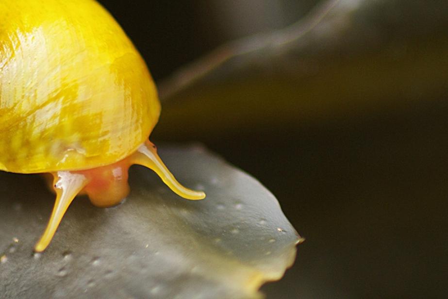 Le Tour de France de la biodiversité