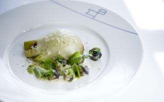 Oseille du jardin, fenouil, escargot de la robine 