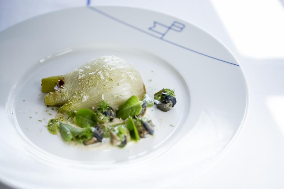 Oseille du jardin, fenouil, escargot de la robine