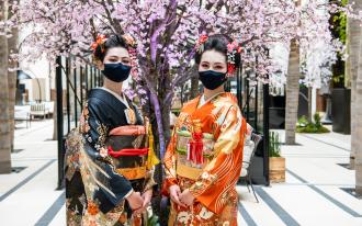 Printemps japonais 