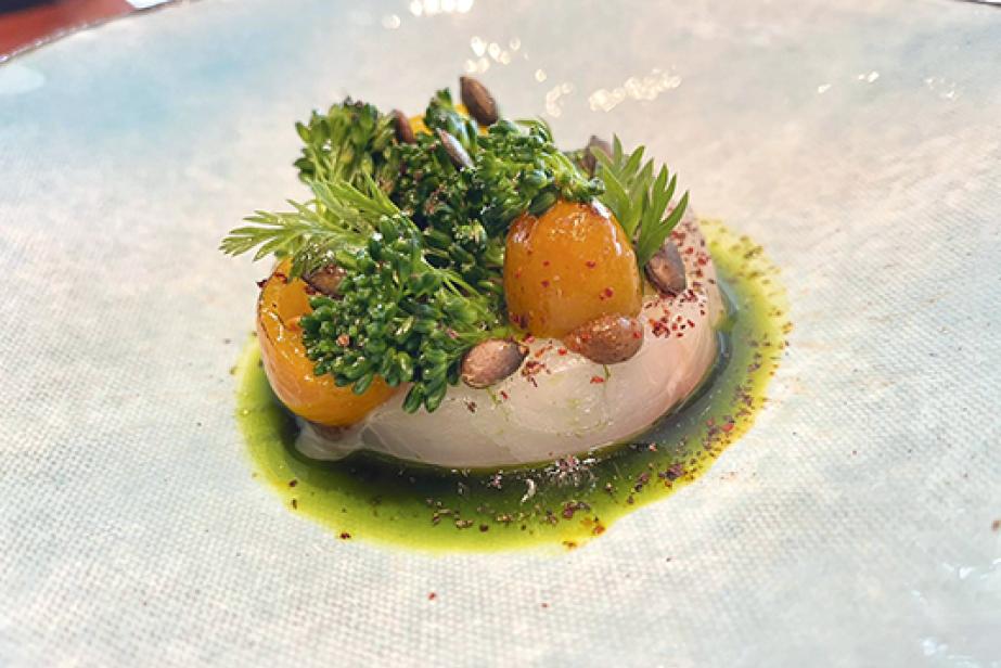 Dorade, kiwis et brocoletti