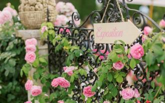 Cours de rosiers à la Villa Ephrussi