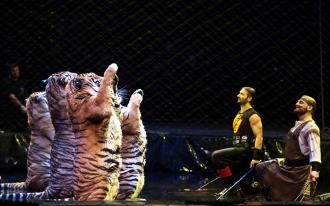 Pas de cirque sans animaux !