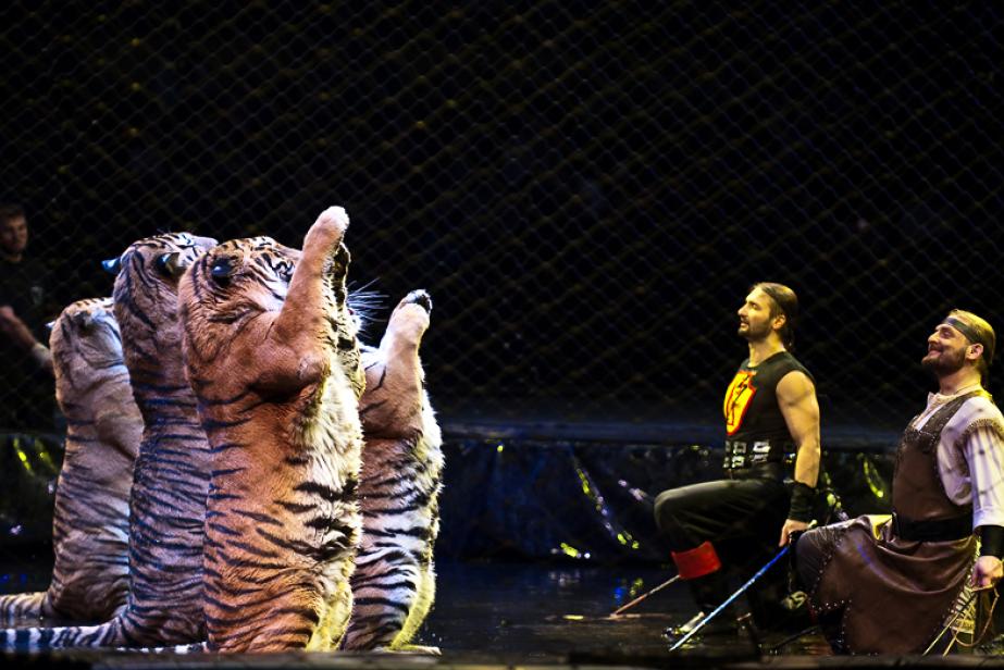 Pas de cirque sans animaux !