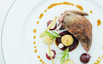 Pigeon Miéral, céleris et cerises