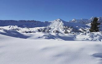 Actualités des stations, Quoi de neuf sur les pistes ?