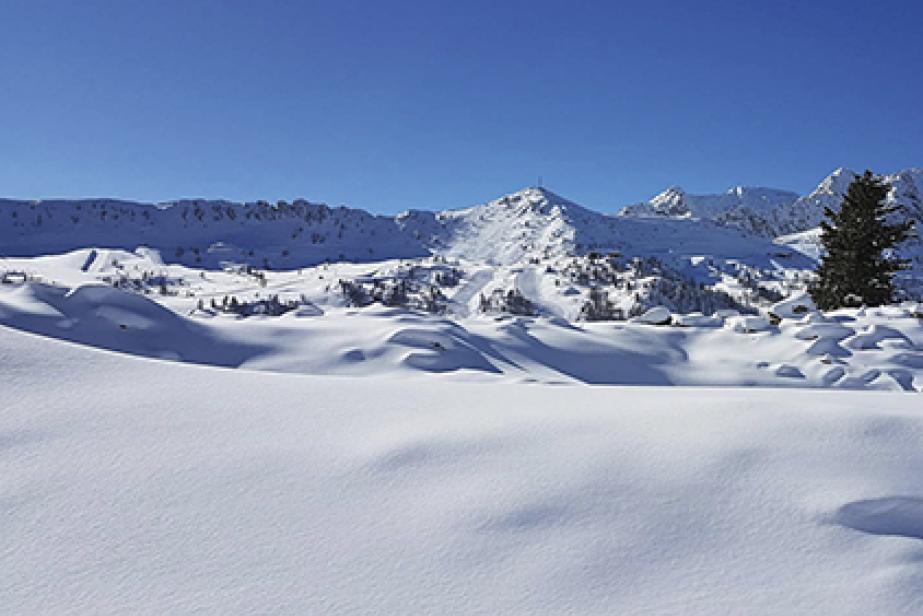 Actualités des stations, Quoi de neuf sur les pistes ?