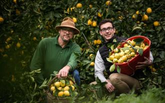 Tout sur le citron