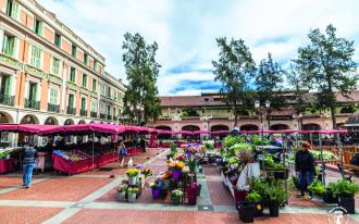 Marchés : du nouveau !