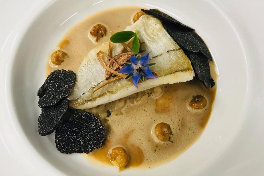 Filet d’églefin, risotto et rabasse, sucs de crevettes grises