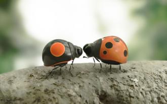 Minuscule 2