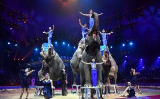 Le 8ème Festival New Generation Festival International du Cirque de Monte-Carlo