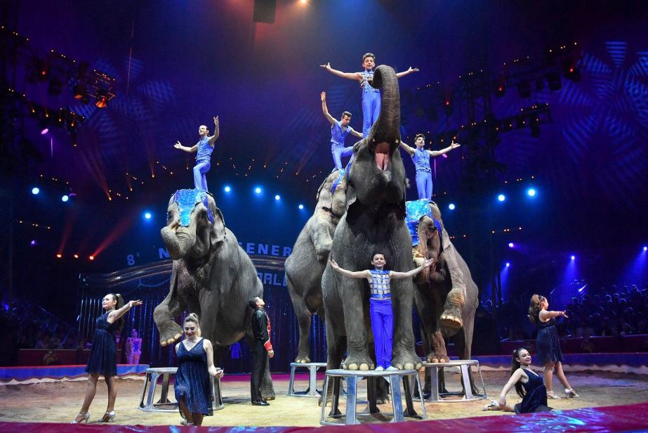 Le 8ème Festival New Generation Festival International du Cirque de Monte-Carlo
