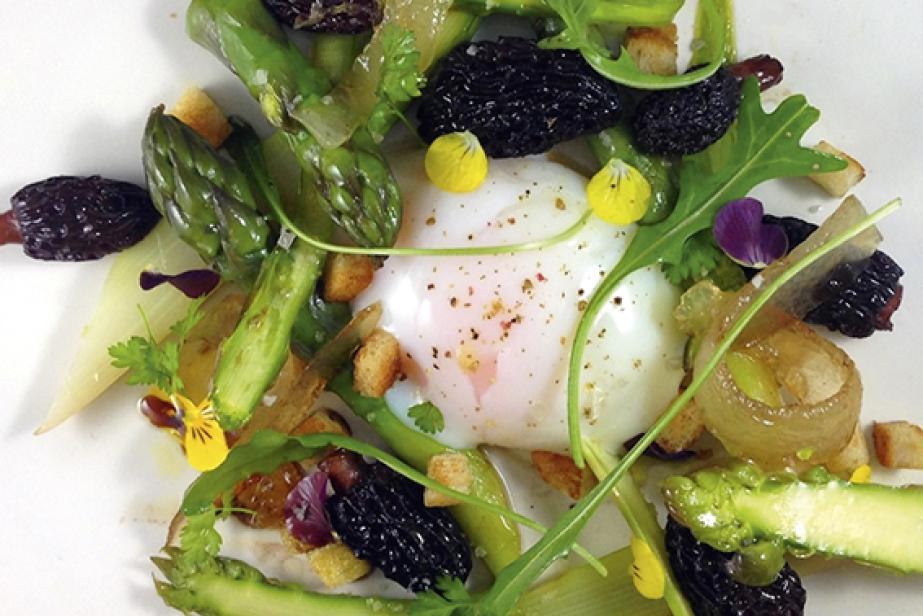 Œuf dit parfait, salade d’asperges vertes aux morilles
