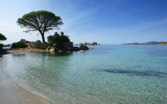 Evasion en Corse