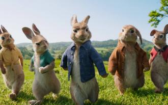 Pierre Lapin