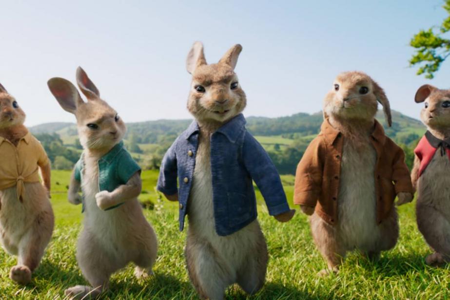 Pierre Lapin