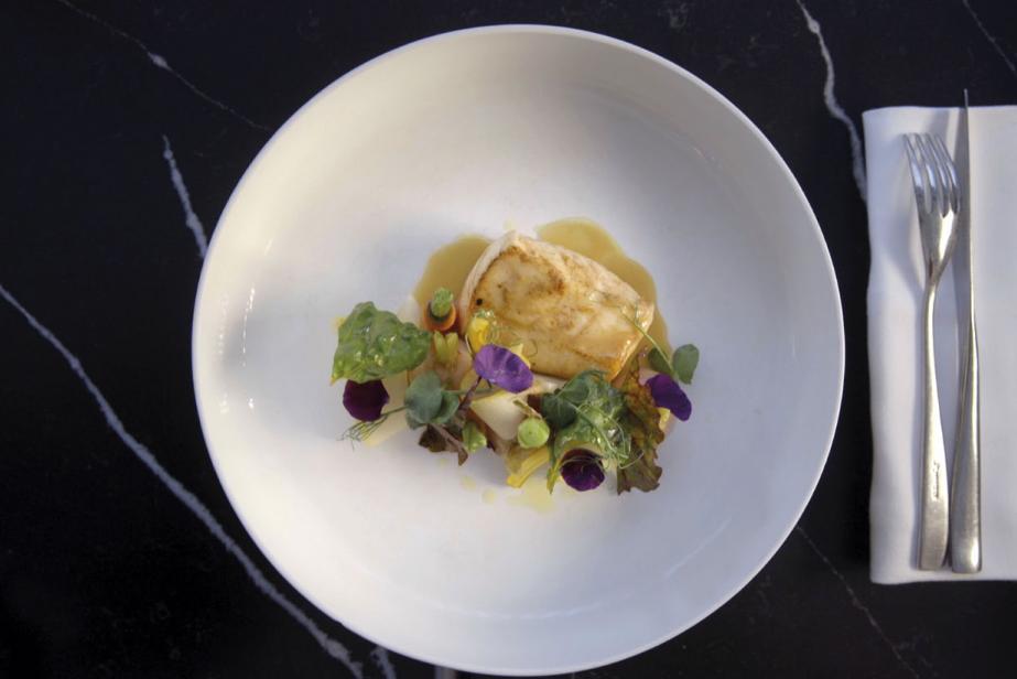 Planète chefs, la suite
