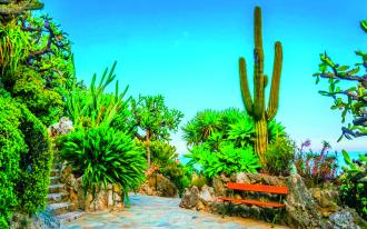 Jardins en Méditerranée