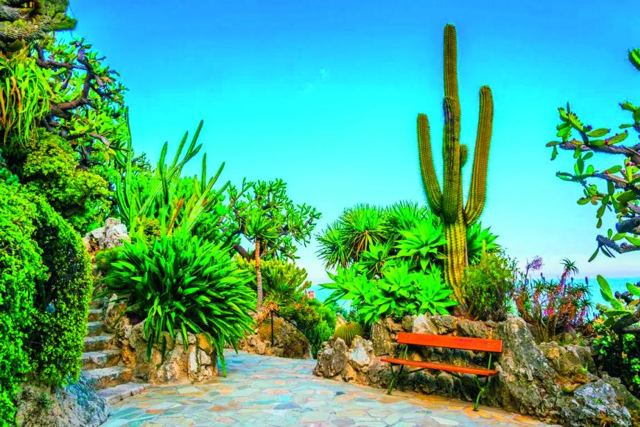 Jardins en Méditerranée