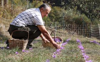 Les adresses gourmandes des grands chefs