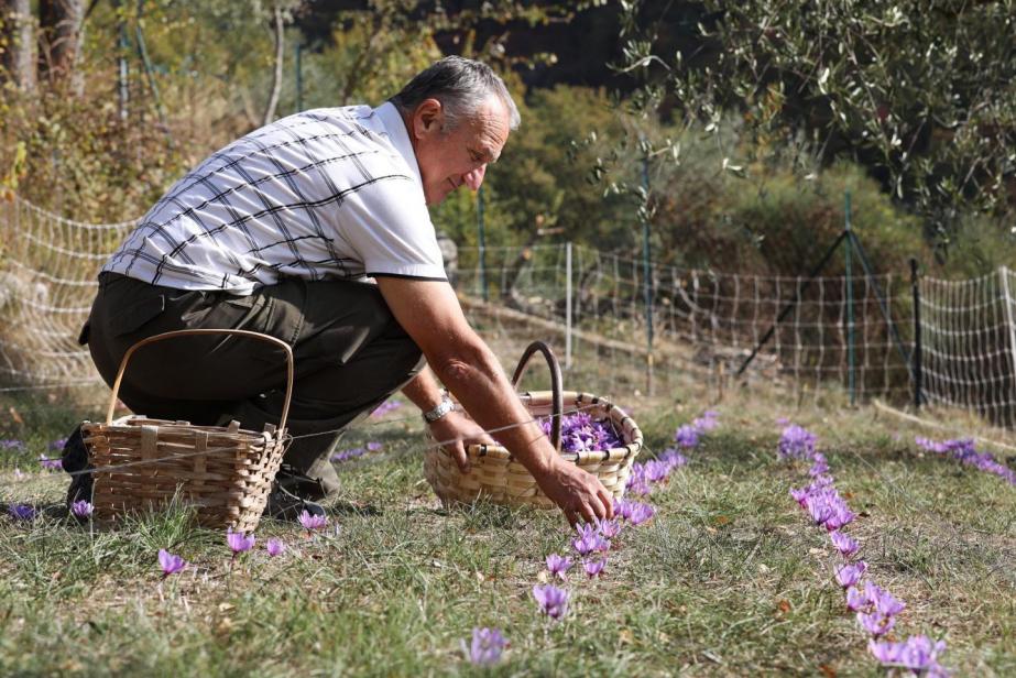 Les adresses gourmandes des grands chefs