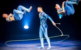 Le show du Roi des Singes