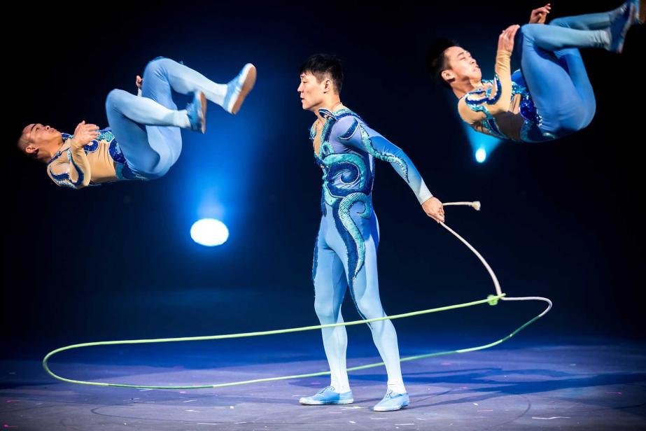 Le show du Roi des Singes