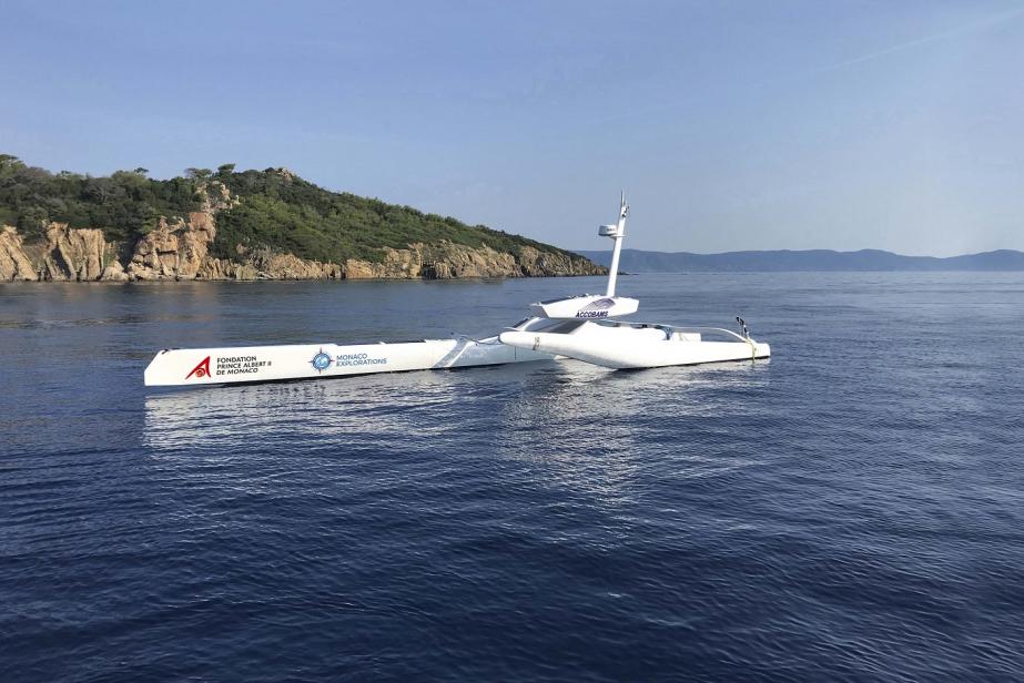 Sphyrna Odyssey : des drones pour écouter les cétacés !