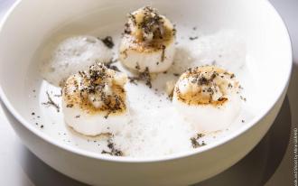 Noix de Saint-Jacques, topinambours et truffes