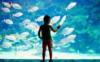 Les musées à ne pas manquer sur la Côte d'Azur