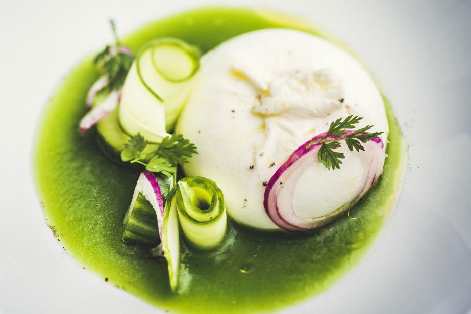 Burrata, oignons rouges mariné, gaspacho de concombre