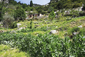 Eau : la SBM au soutien d’Agerbol