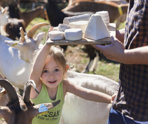 "Brin de culture" à la ferme