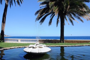 Cap Estel : Partage au Ficus