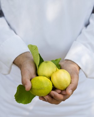 Citron roi au Mirazur