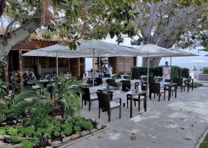 On redécouvre "Le Ficus" au Cap Estel