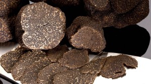 La saison des truffes